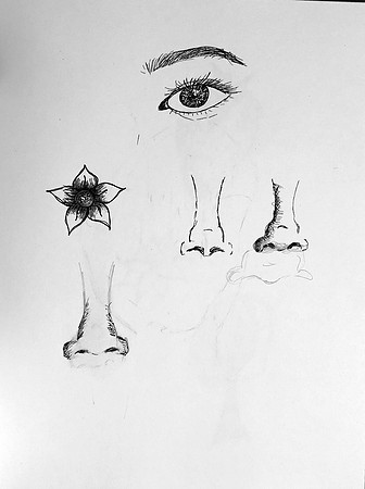 sketches