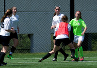 Pumas 6/14/2015